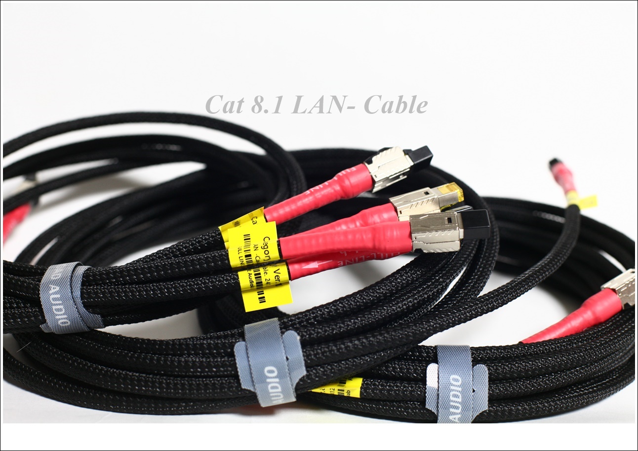 Cat8.1 LAN-Cable 범용