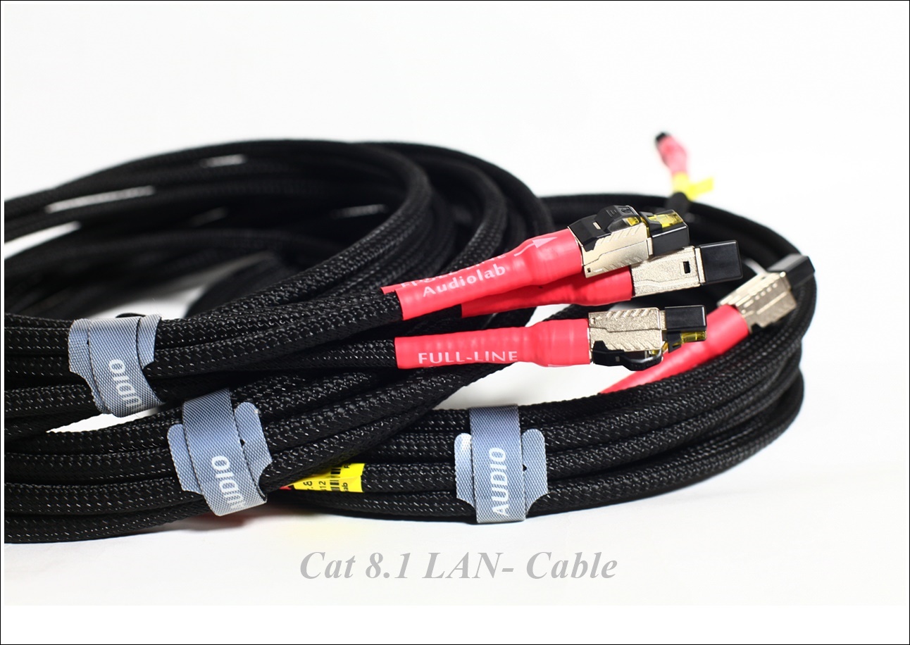 Cat8.1 LAN-Cable 범용