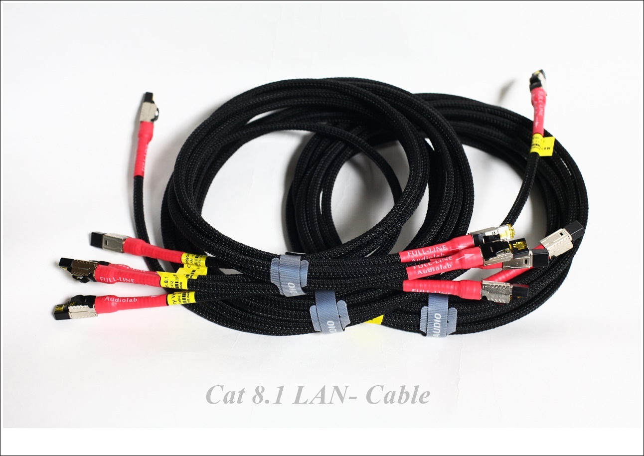 Cat8.1 LAN-Cable 범용