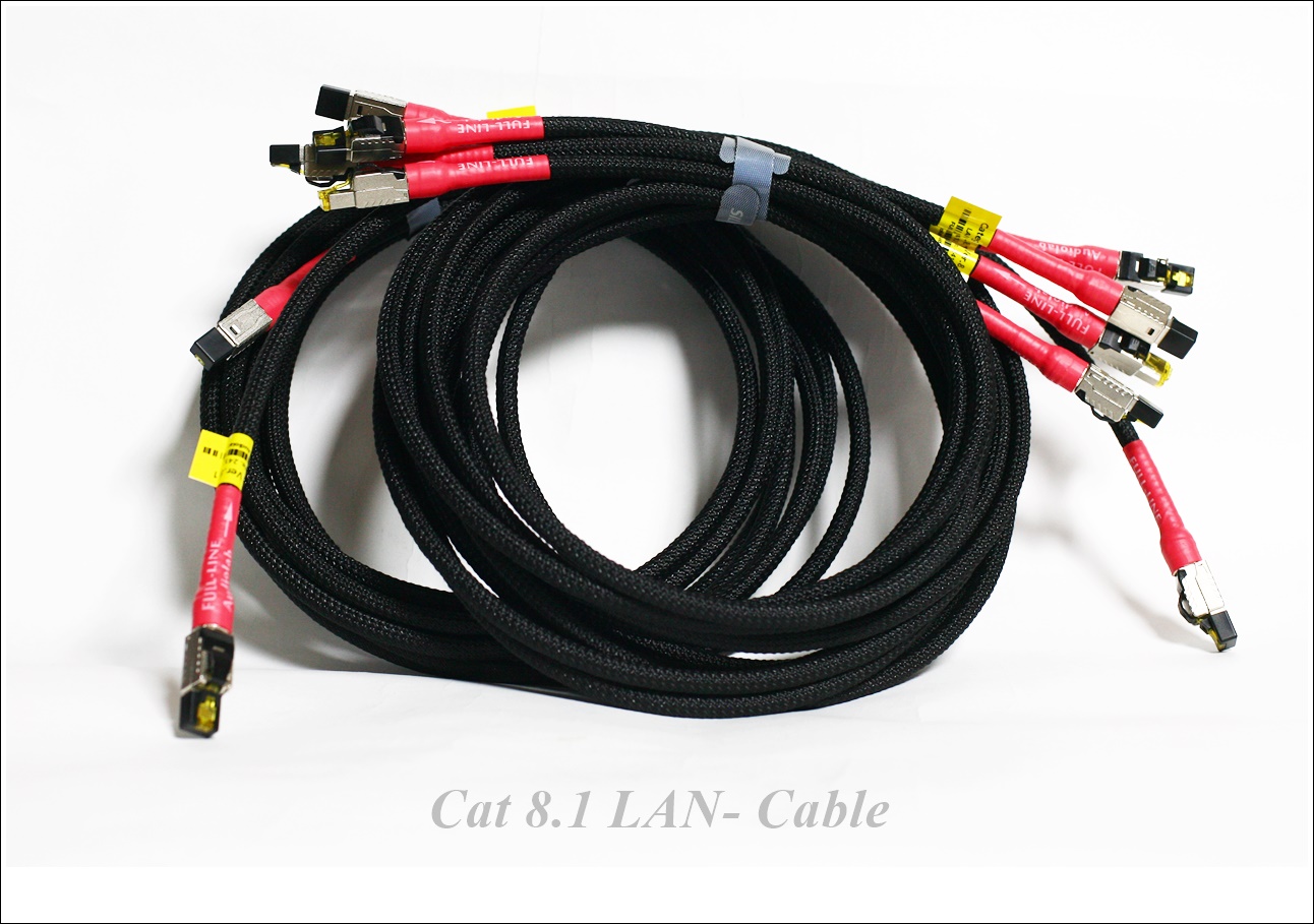 Cat8.1 LAN-Cable 범용
